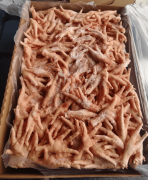 集团采用“陆运+海运”协同运