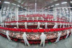 融合风险阐发取环节节制点系统(HACCP)、食